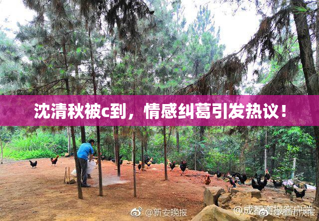 沈清秋被c到，情感纠葛引发热议！