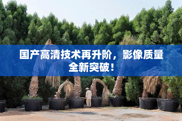 国产高清技术再升阶，影像质量全新突破！