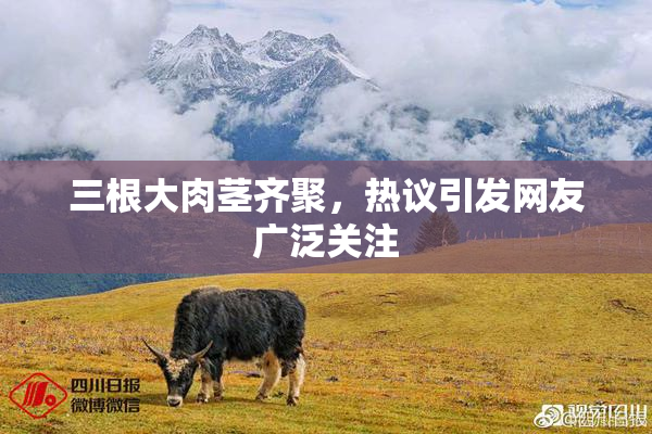 三根大肉茎齐聚，热议引发网友广泛关注