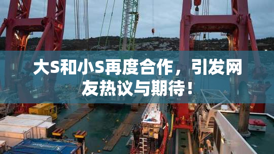 大S和小S再度合作，引发网友热议与期待！