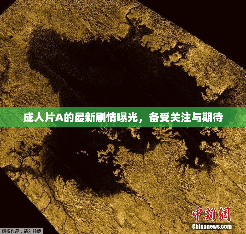 成人片A的最新剧情曝光，备受关注与期待