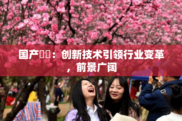 国产梱綁：创新技术引领行业变革，前景广阔
