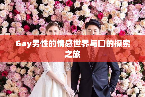 Gay男性的情感世界与囗的探索之旅