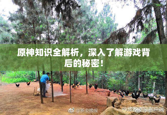原神知识全解析，深入了解游戏背后的秘密！