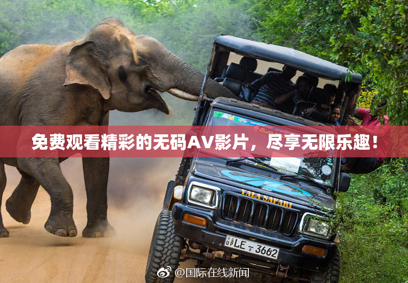 免费观看精彩的无码AV影片，尽享无限乐趣！