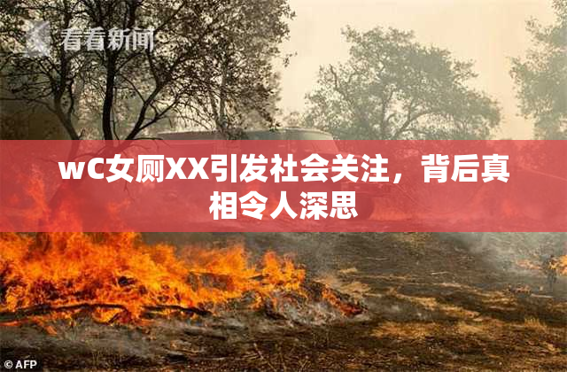 wC女厕XX引发社会关注，背后真相令人深思