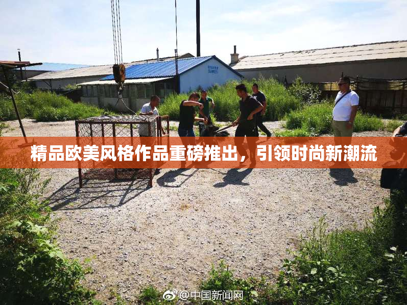 精品欧美风格作品重磅推出，引领时尚新潮流