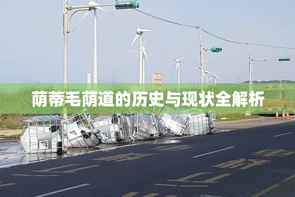 荫蒂毛荫道的历史与现状全解析