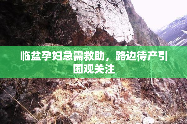 临盆孕妇急需救助，路边待产引围观关注