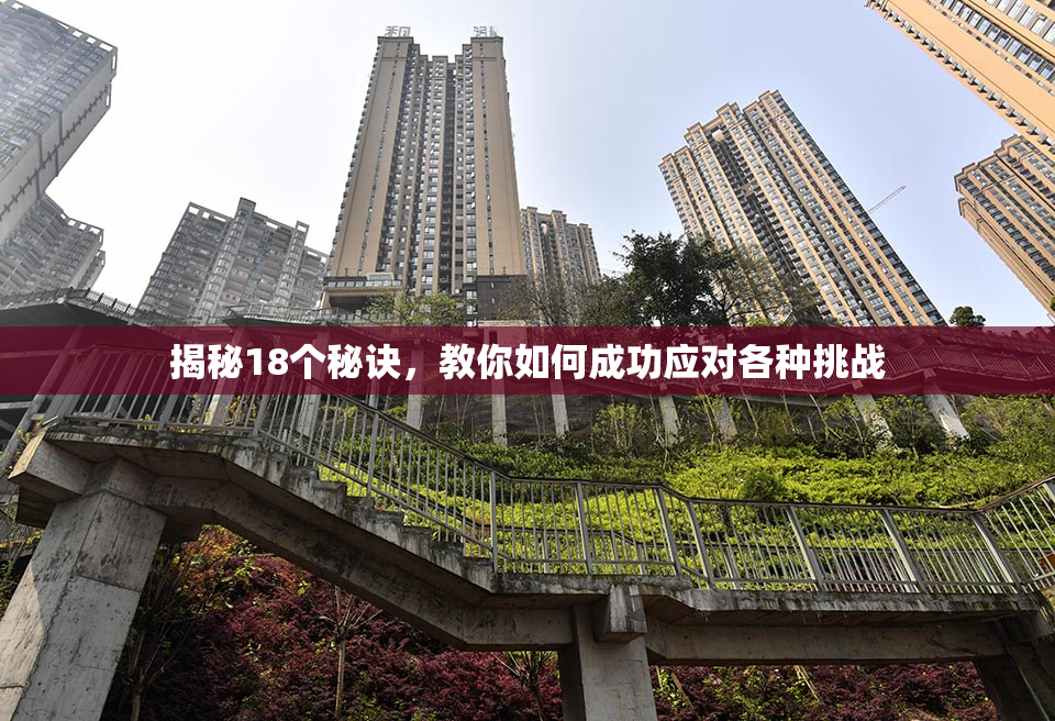 揭秘18个秘诀，教你如何成功应对各种挑战