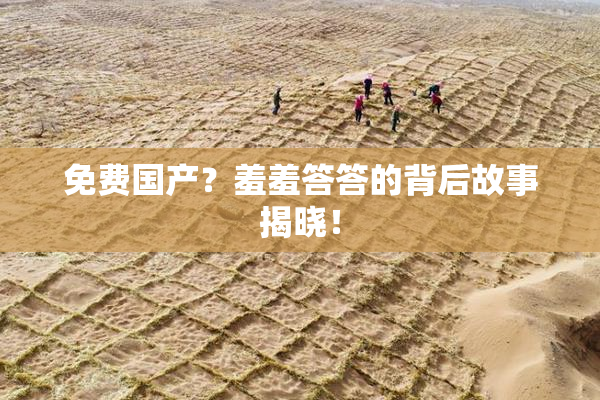 免费国产？羞羞答答的背后故事揭晓！