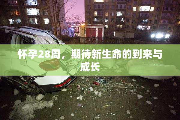 怀孕28周，期待新生命的到来与成长