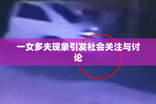 一女多夫现象引发社会关注与讨论