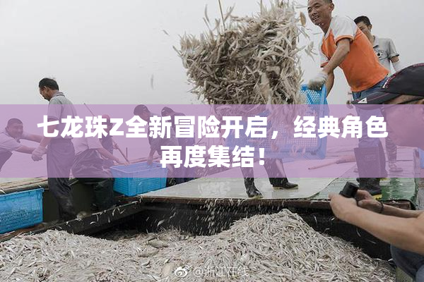 七龙珠Z全新冒险开启，经典角色再度集结！