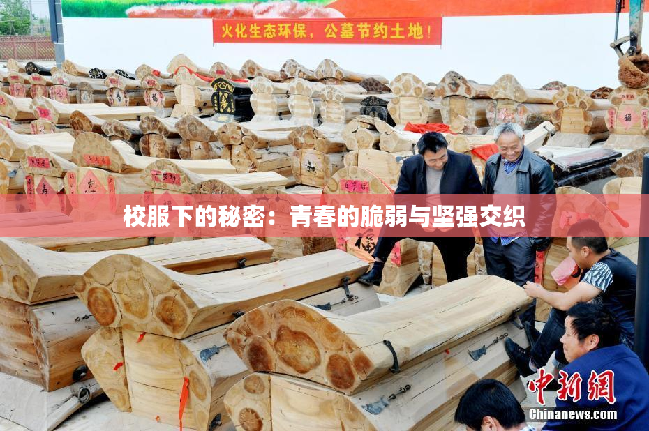 校服下的秘密：青春的脆弱与坚强交织