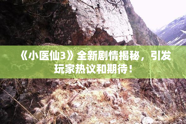 《小医仙3》全新剧情揭秘，引发玩家热议和期待！