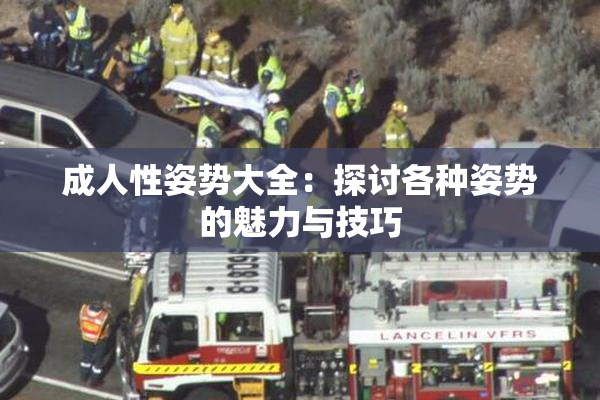 成人性姿势大全：探讨各种姿势的魅力与技巧
