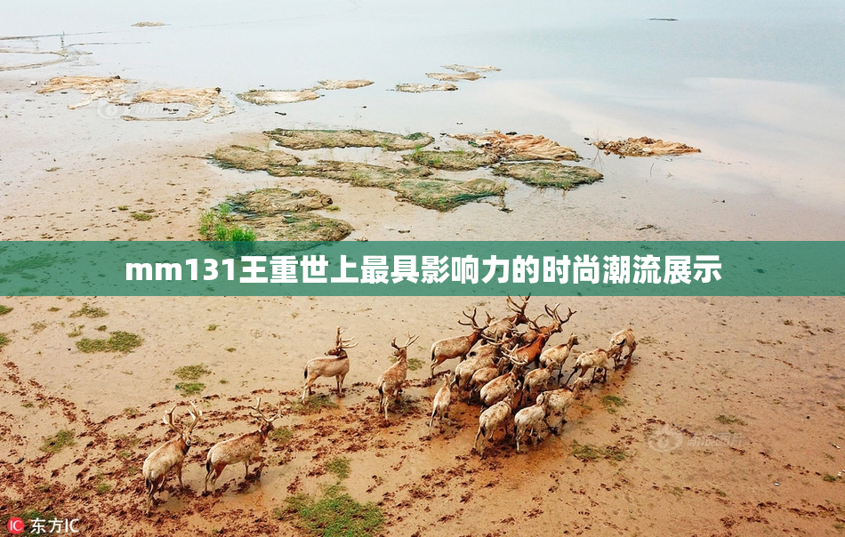 mm131王重世上最具影响力的时尚潮流展示
