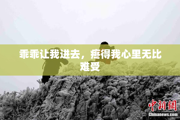 乖乖让我进去，疼得我心里无比难受