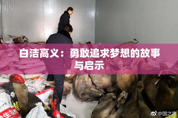 白洁高义：勇敢追求梦想的故事与启示