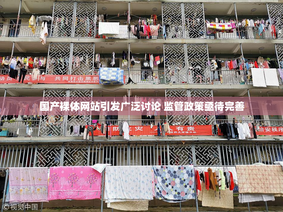 国产裸体网站引发广泛讨论 监管政策亟待完善