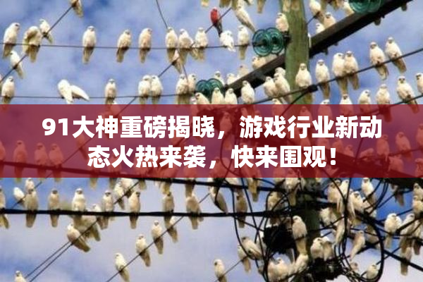 91大神重磅揭晓，游戏行业新动态火热来袭，快来围观！