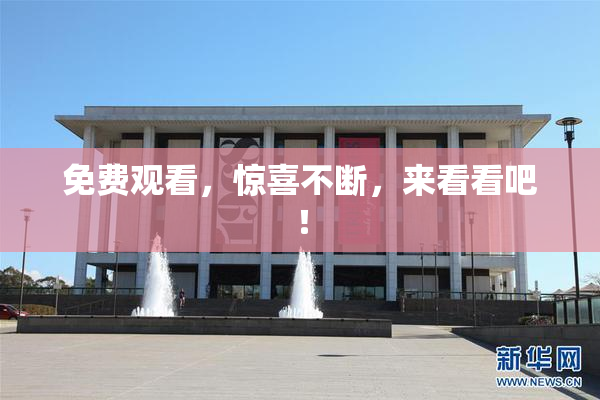 免费观看，惊喜不断，来看看吧！