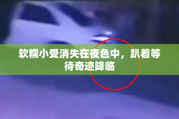 软糯小受消失在夜色中，趴着等待奇迹降临