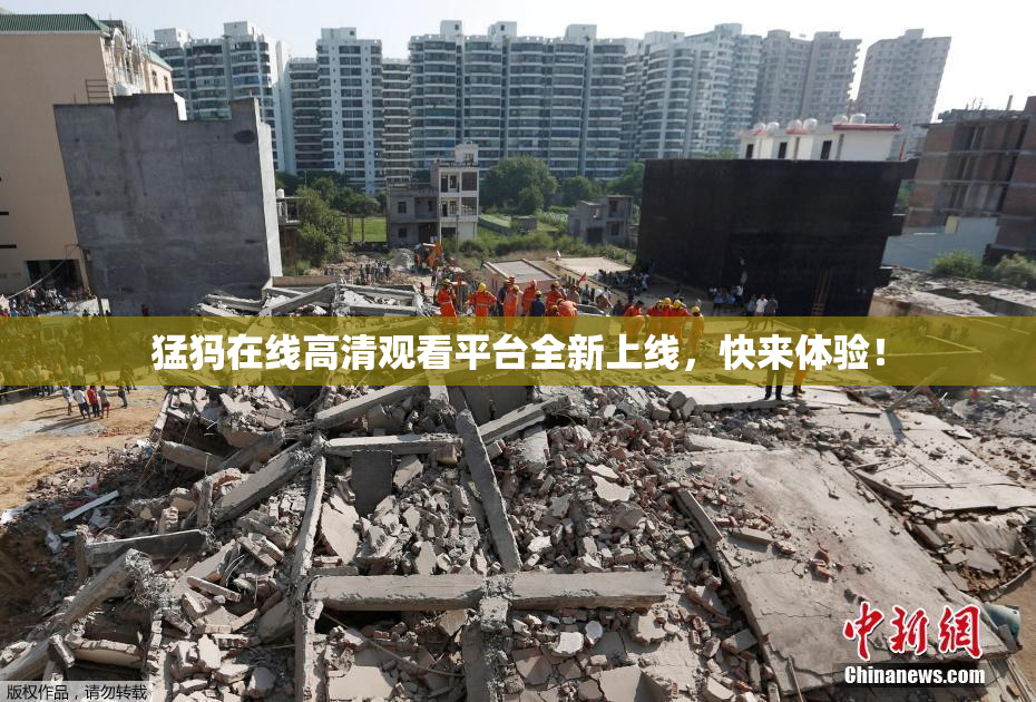 猛犸在线高清观看平台全新上线，快来体验！