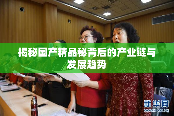 揭秘国产精品秘背后的产业链与发展趋势