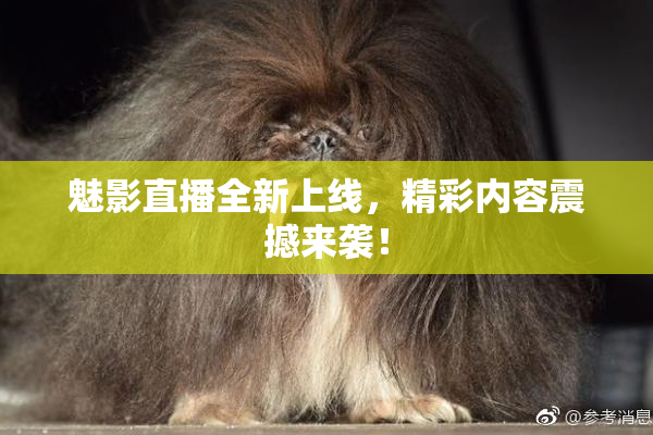 魅影直播全新上线，精彩内容震撼来袭！