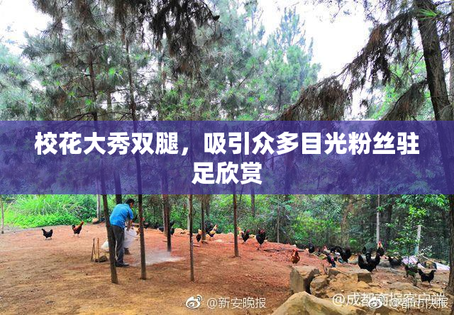 校花大秀双腿，吸引众多目光粉丝驻足欣赏