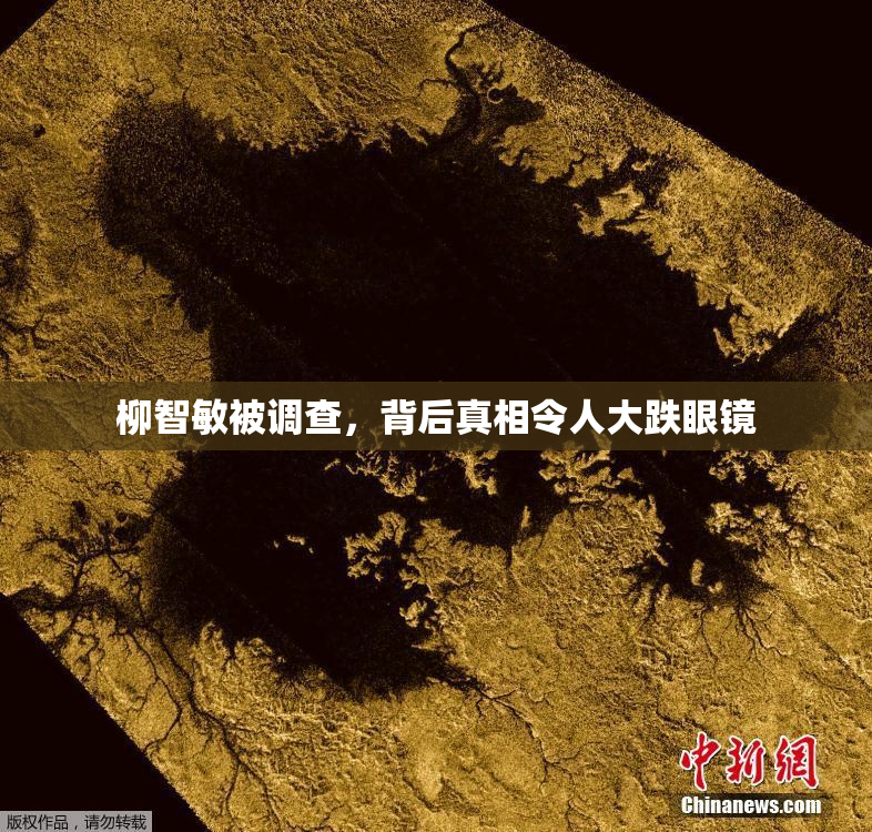 柳智敏被调查，背后真相令人大跌眼镜
