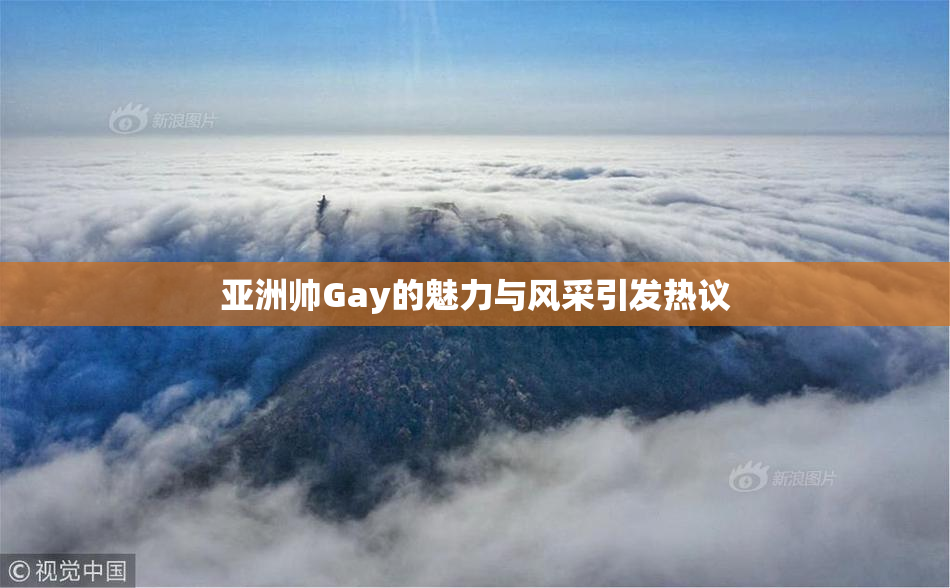 亚洲帅Gay的魅力与风采引发热议
