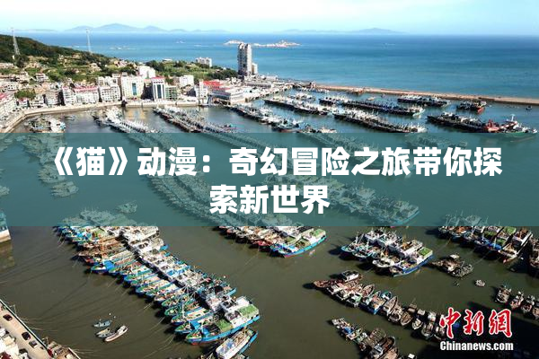 《猫》动漫：奇幻冒险之旅带你探索新世界