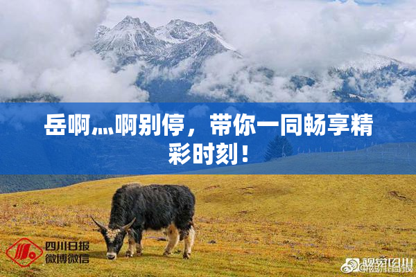 岳啊灬啊别停，带你一同畅享精彩时刻！