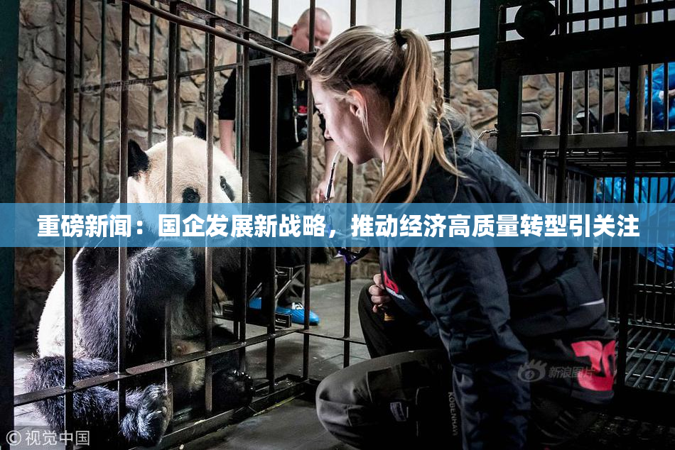 重磅新闻：国企发展新战略，推动经济高质量转型引关注
