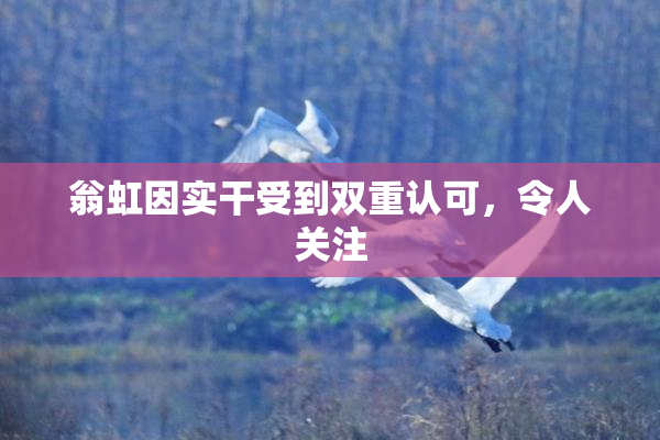 翁虹因实干受到双重认可，令人关注