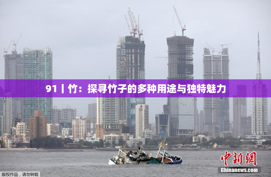 91丨竹：探寻竹子的多种用途与独特魅力
