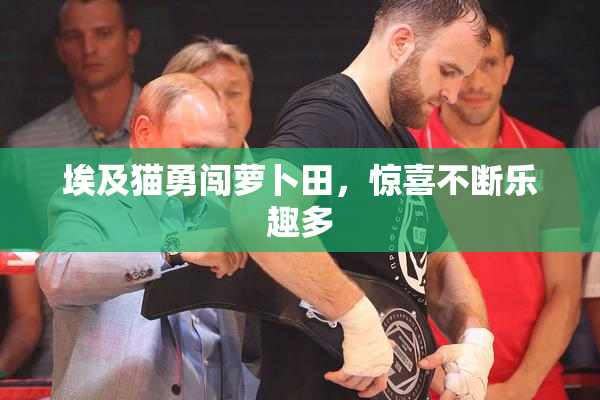 埃及猫勇闯萝卜田，惊喜不断乐趣多
