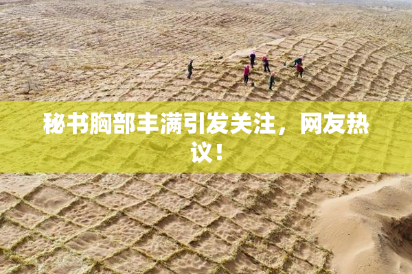 秘书胸部丰满引发关注，网友热议！