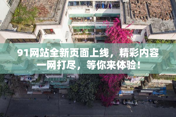 91网站全新页面上线，精彩内容一网打尽，等你来体验！