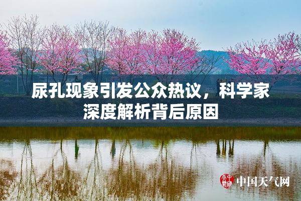 尿孔现象引发公众热议，科学家深度解析背后原因