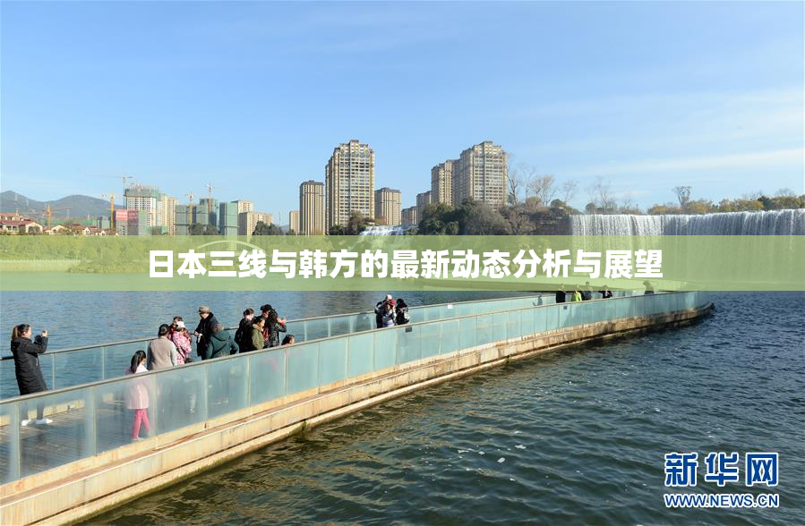 日本三线与韩方的最新动态分析与展望
