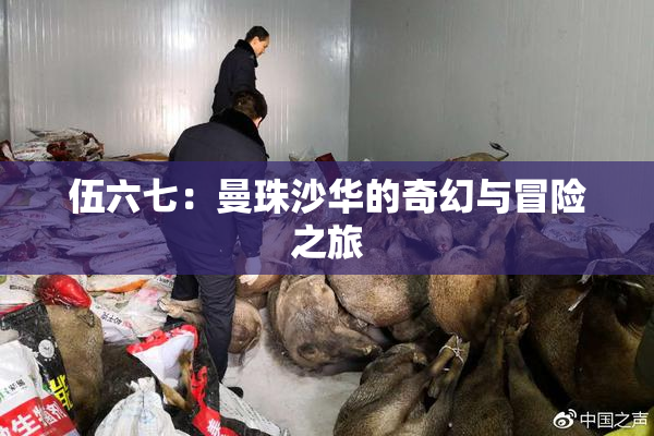 伍六七：曼珠沙华的奇幻与冒险之旅