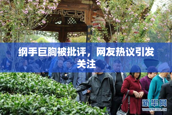 纲手巨胸被批评，网友热议引发关注