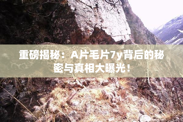 重磅揭秘：A片毛片7y背后的秘密与真相大曝光！