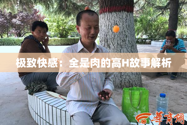 极致快感：全是肉的高H故事解析