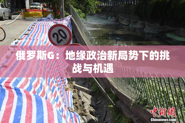 俄罗斯G：地缘政治新局势下的挑战与机遇