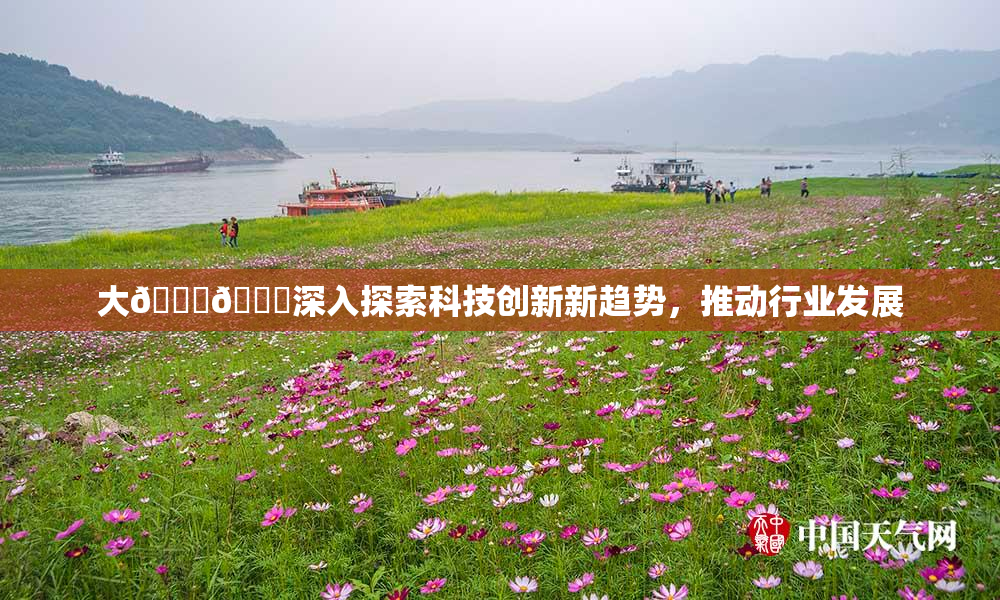 大🐔🐔深入探索科技创新新趋势，推动行业发展